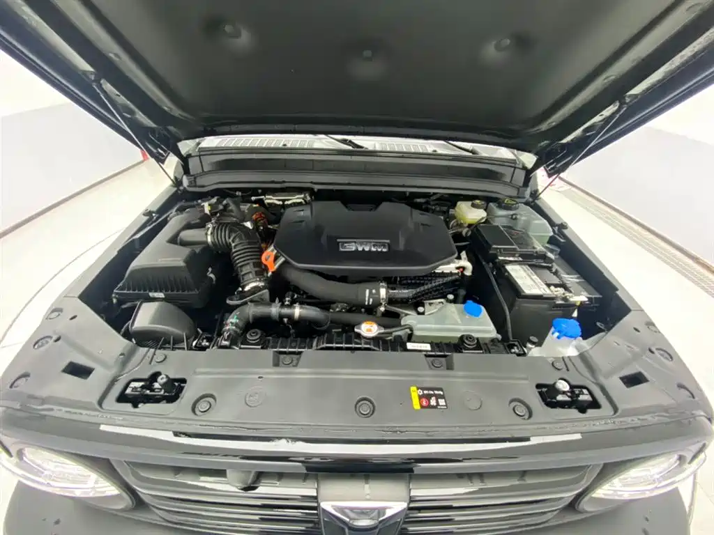 TANK TANK 300 NEW ENERGY