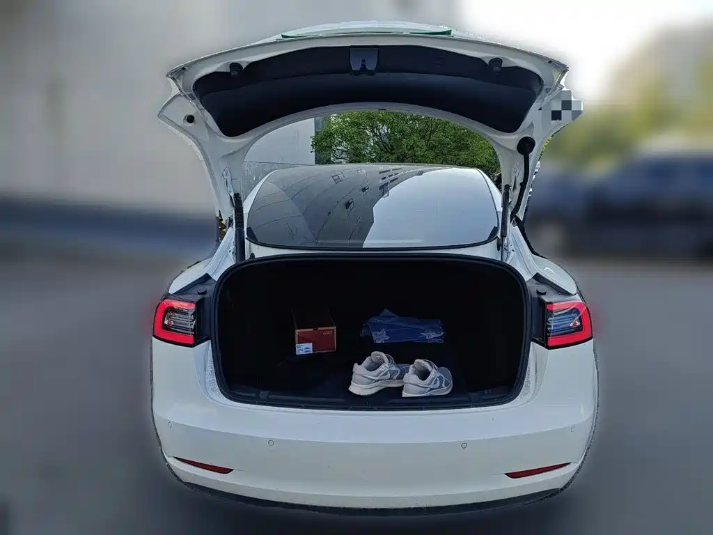 Tesla Model 3 — миниатюра 15