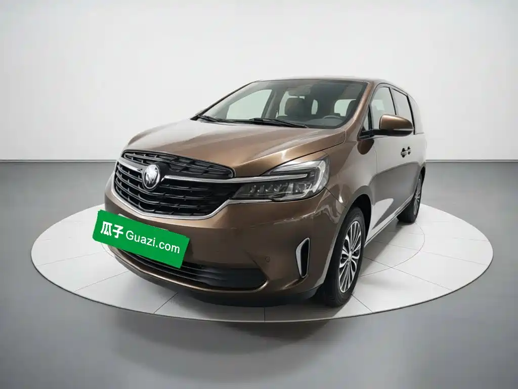 Buick GL8 — миниатюра 2