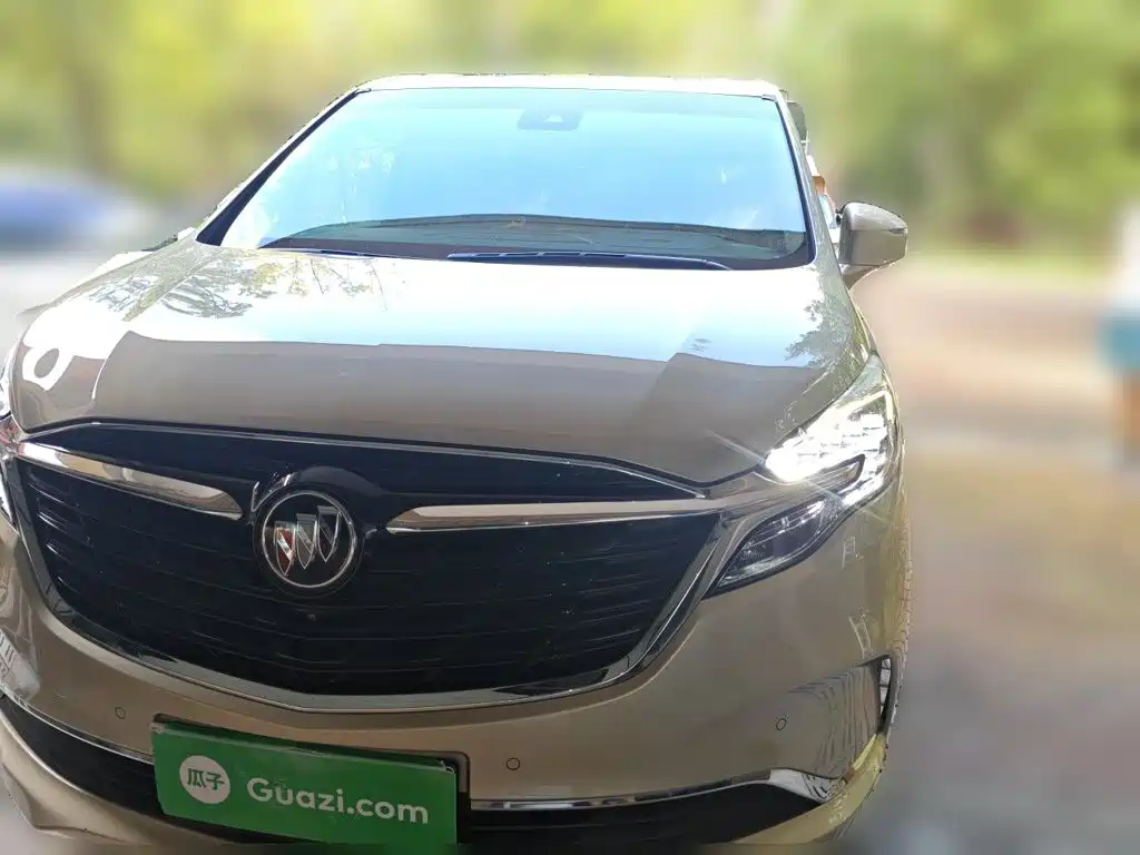 Buick GL8 — миниатюра 23