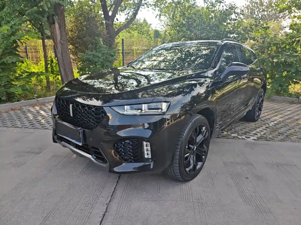 Wey Wey VV7 — миниатюра 2