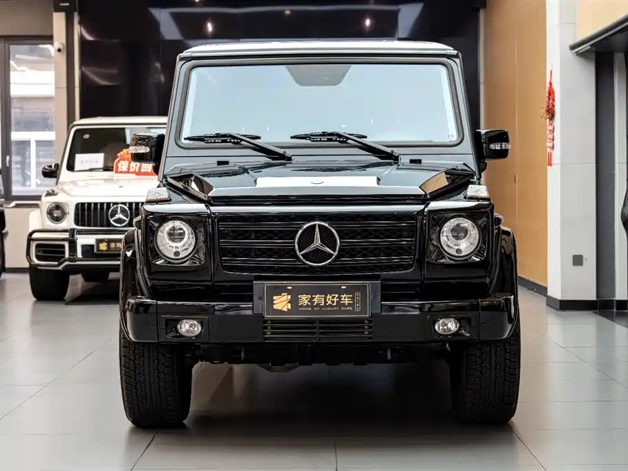 Mercedes-Benz G-Class G 2010 G 500