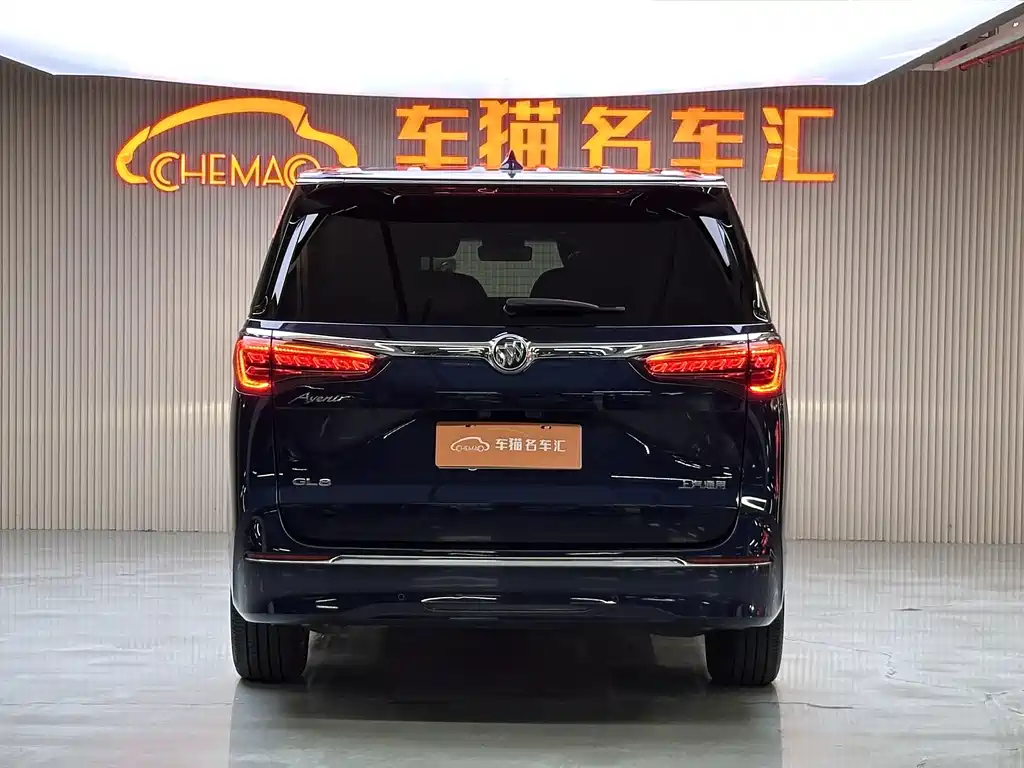 Buick GL8 — миниатюра 21