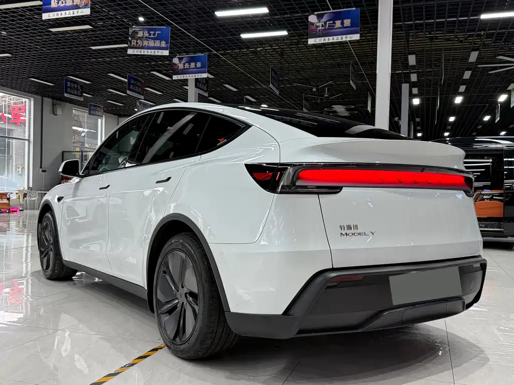 Tesla Model Y — миниатюра 3