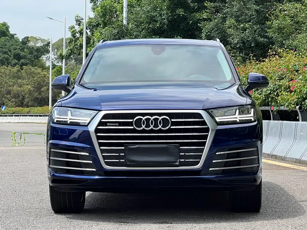 Audi Q7 2019 45 TFSI S line Sport