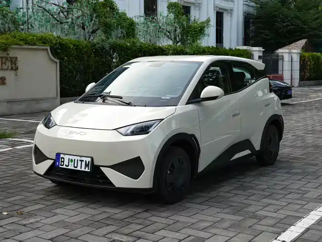 BYD Seagull