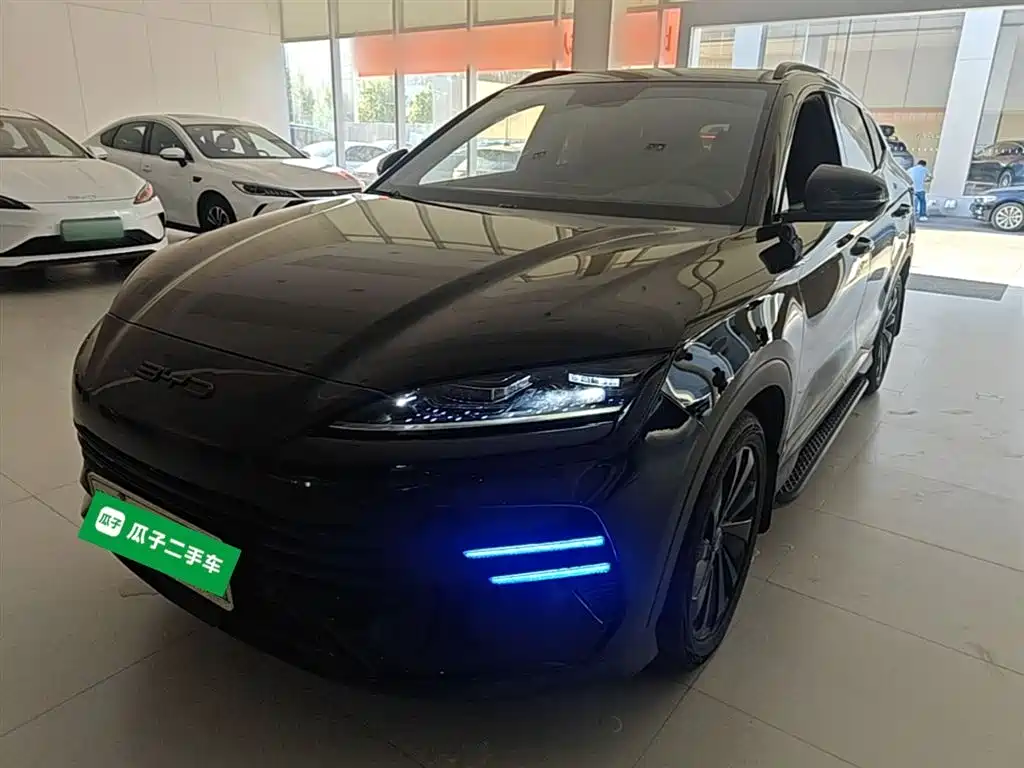 Byd PLUS New Energy 2024