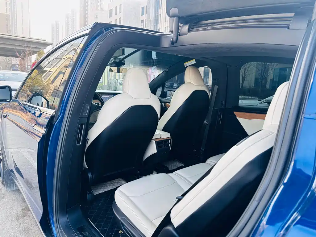 TESLA MODEL X