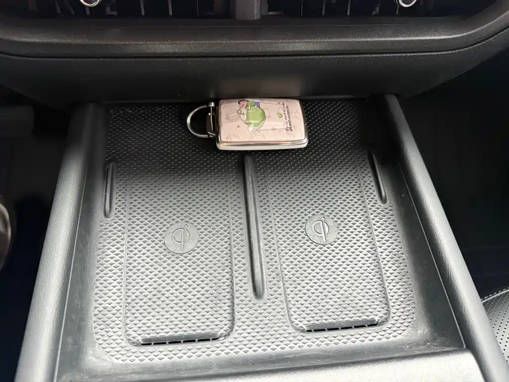 TANK TANK 300 NEW ENERGY