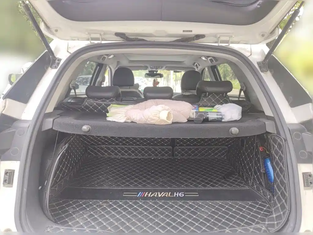 Haval H6 Coupe — миниатюра 15