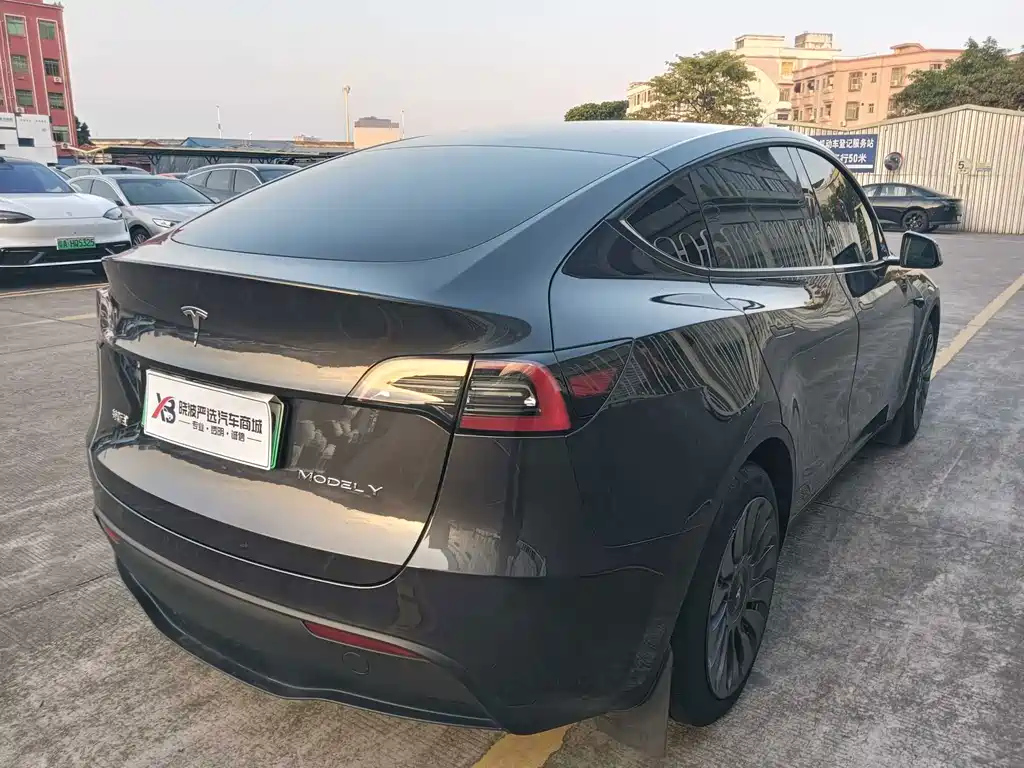 Tesla Model Y — миниатюра 6