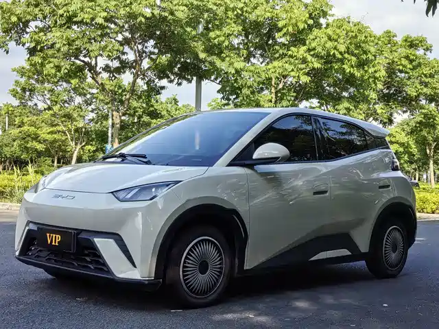 2023 BYD Seagull