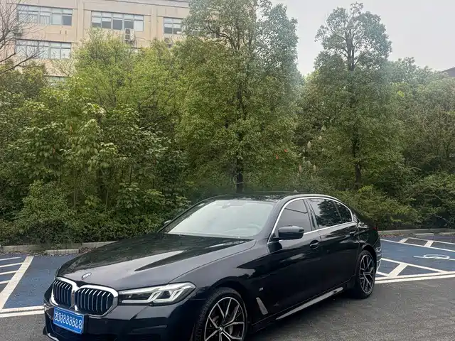BMW 5 SERIES