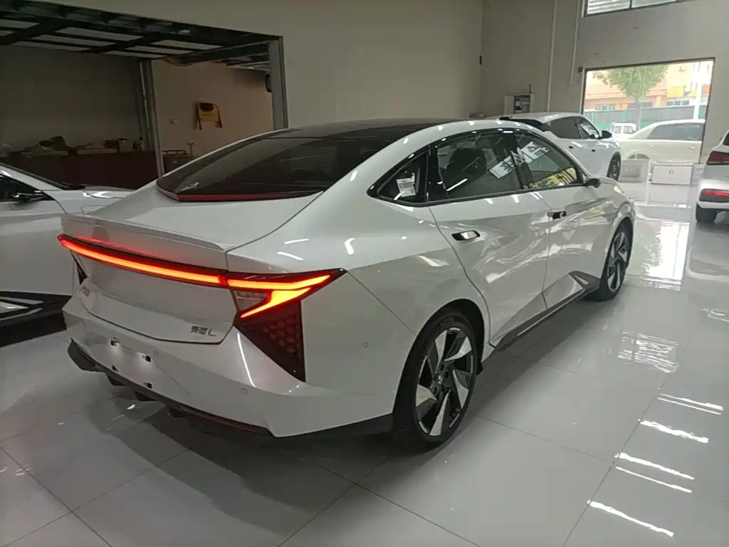 Lingxi Lingxi L — миниатюра 7