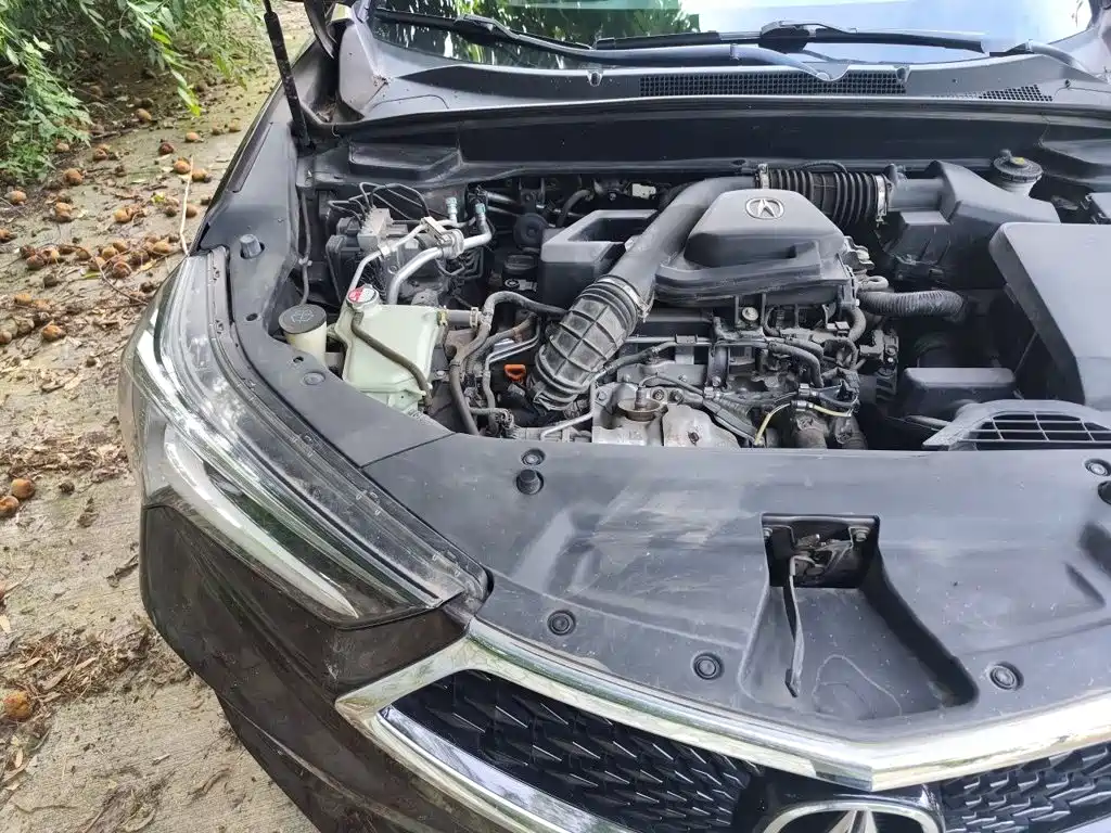 Acura CDX — миниатюра 19