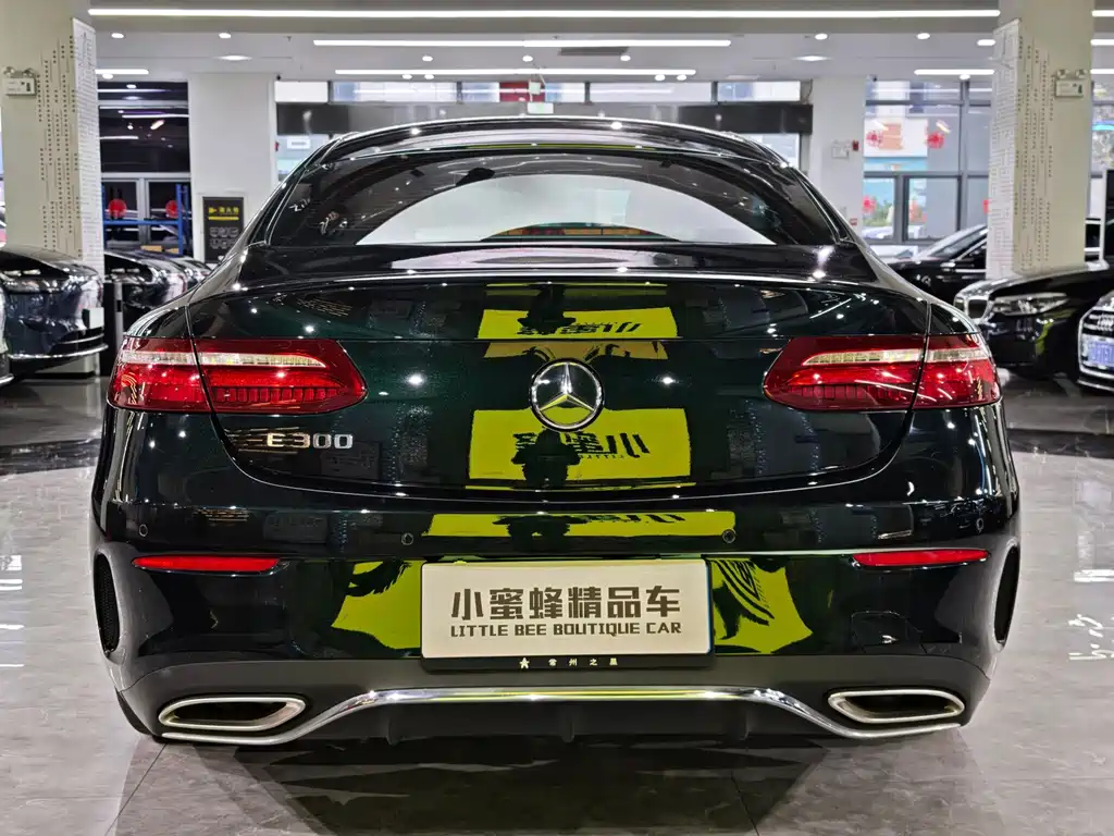 Mercedes-Benz E-Class (Import) — миниатюра 15