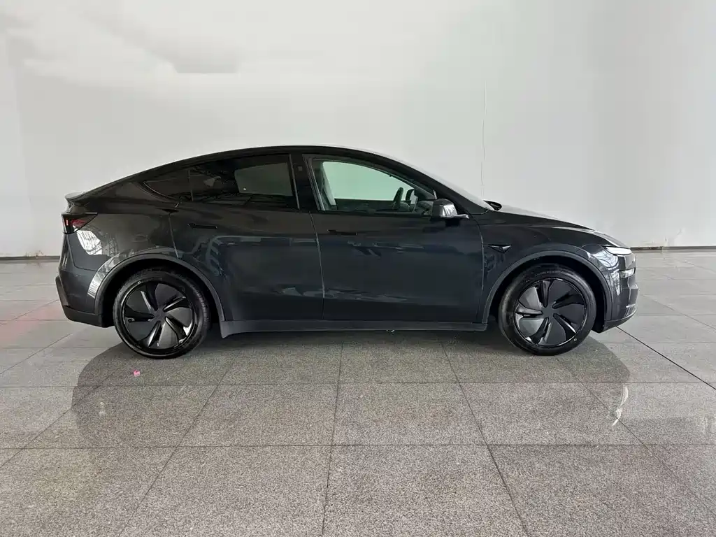 Tesla Model Y — миниатюра 3