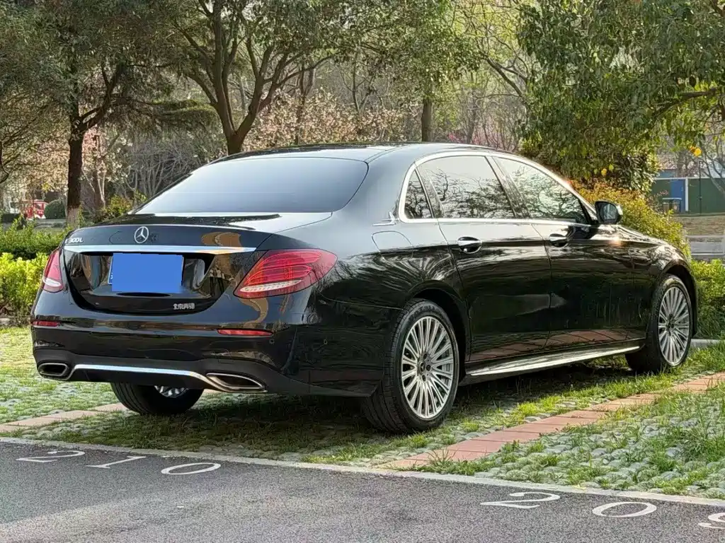 Mercedes-Benz E-Class E 300 L Luxury Type, фото 4