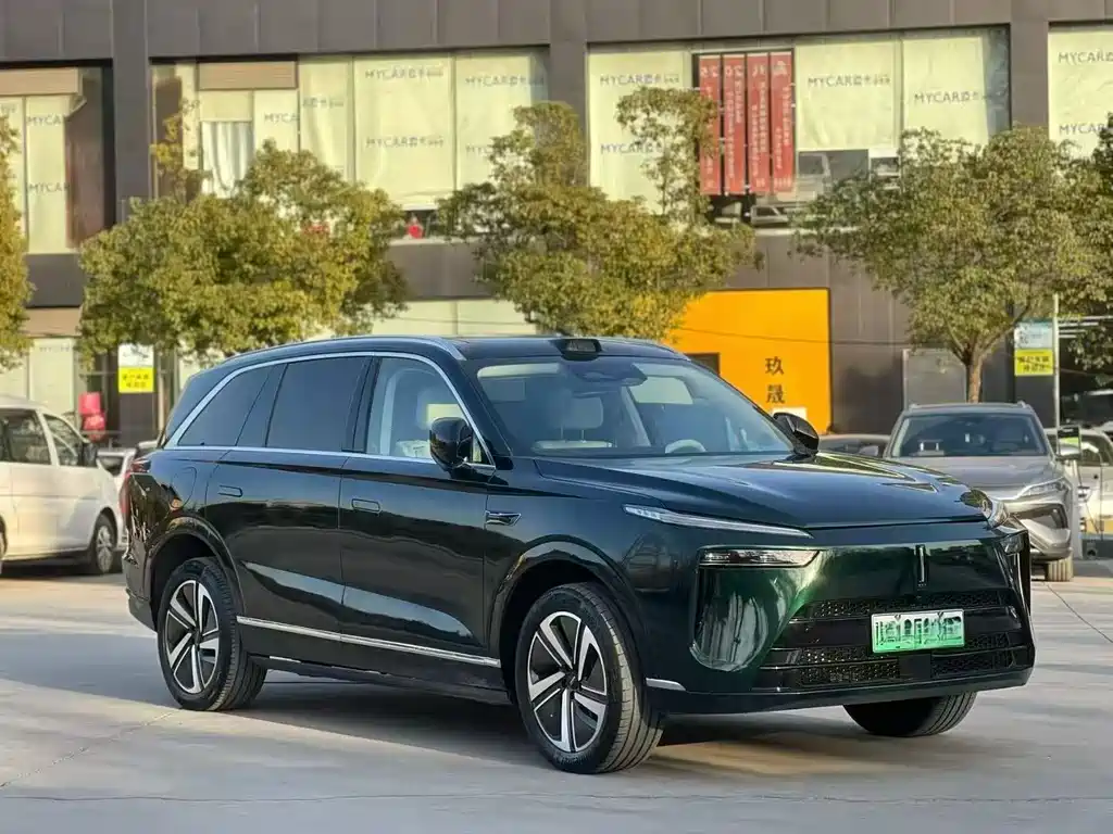 WEI PAI WEI BRAND BLUE MOUNTAIN