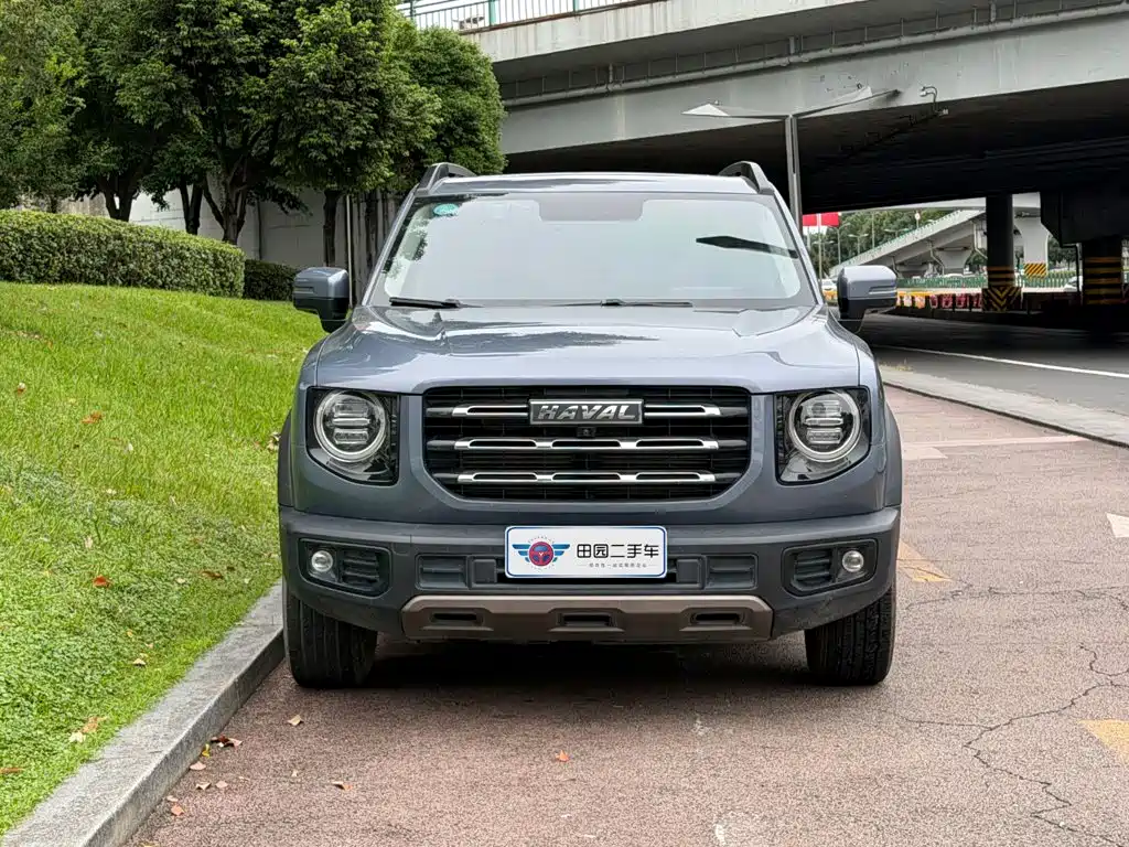 Haval Big Dog — миниатюра 2