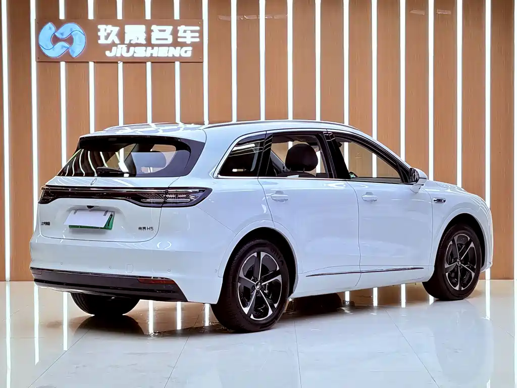 Shangjie Shangjie H5 — миниатюра 20