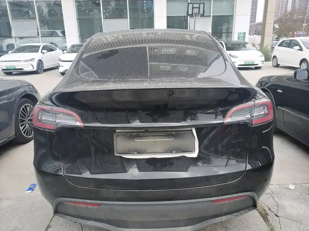 Tesla Model Y — миниатюра 6