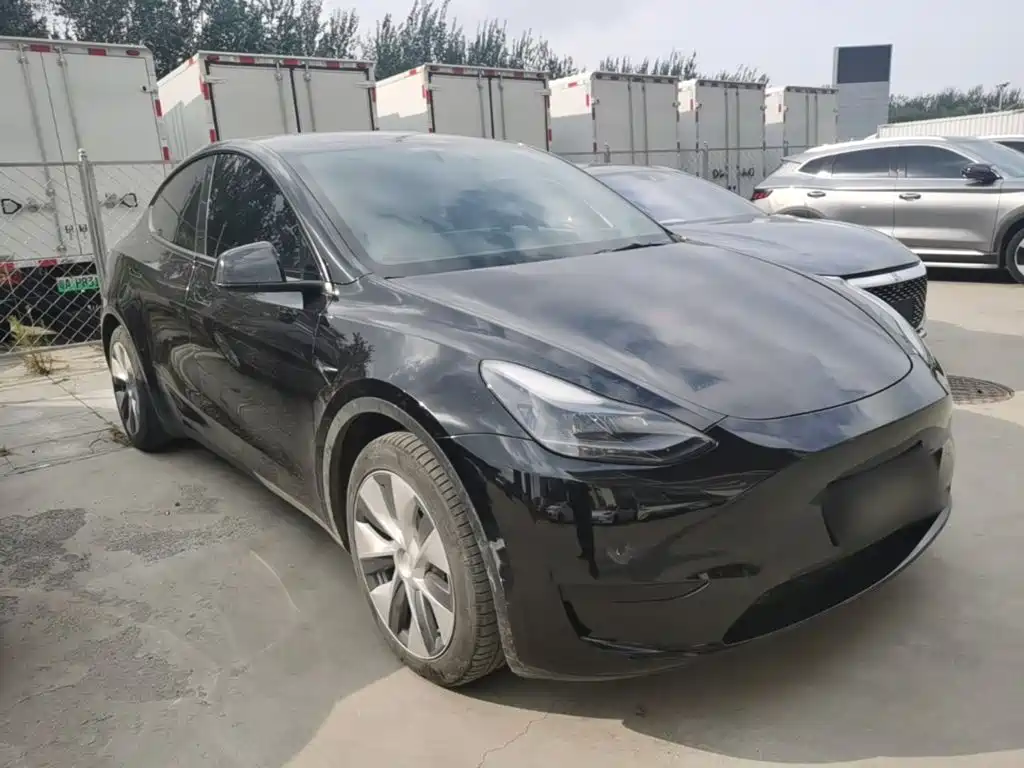 Tesla Model Y — миниатюра 4