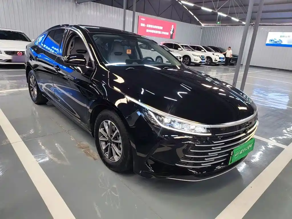 BYD Destroyer 05 — миниатюра 4