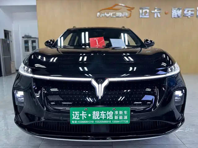 VOYAH LAN TU ZHIYIN 2024