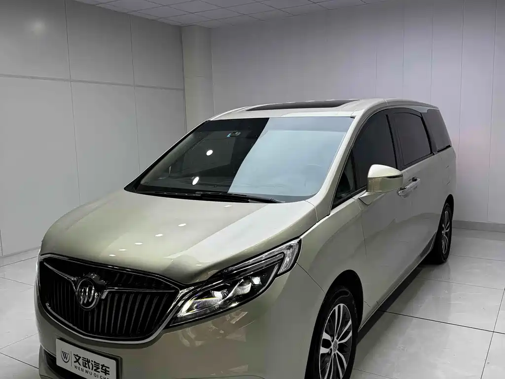 Buick GL8 — миниатюра 3