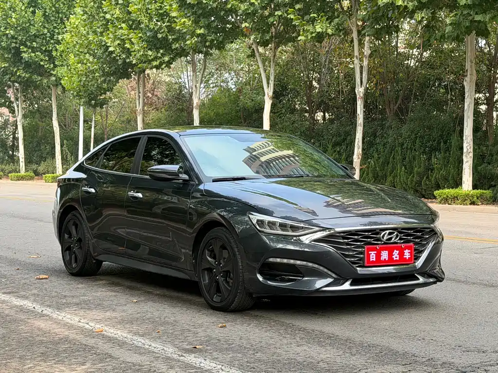 Hyundai Fista — миниатюра 2