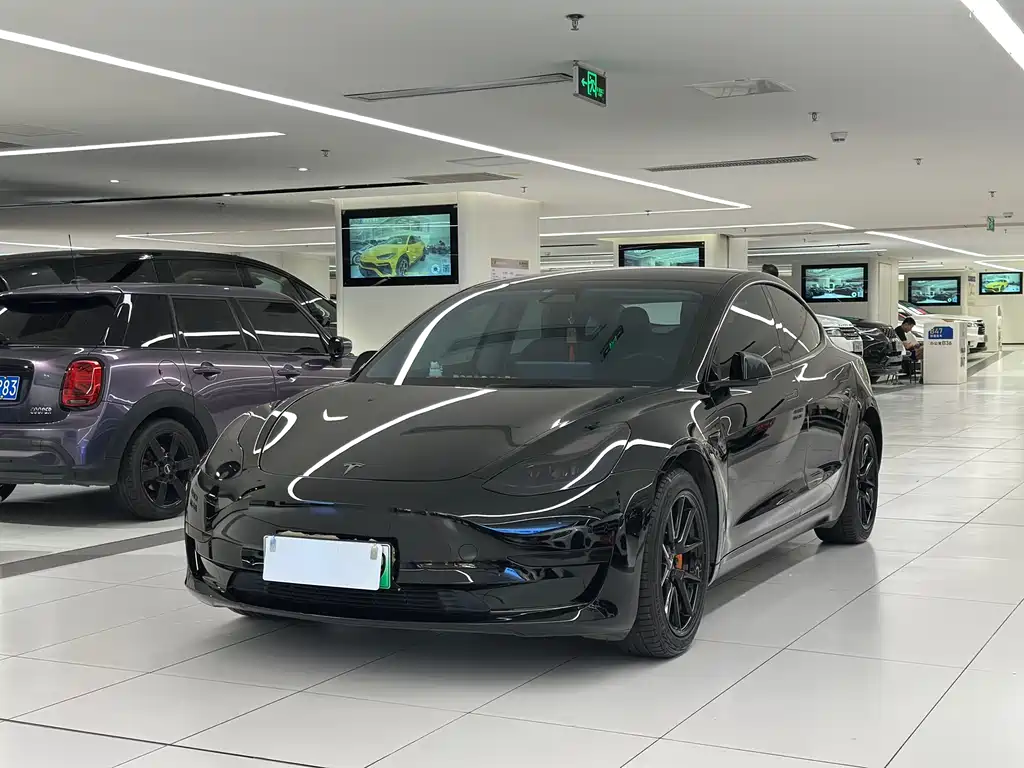 Tesla Model 3 2021 3D6