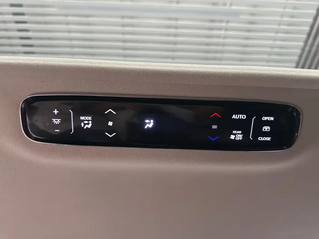 Honda Elysion — миниатюра 12