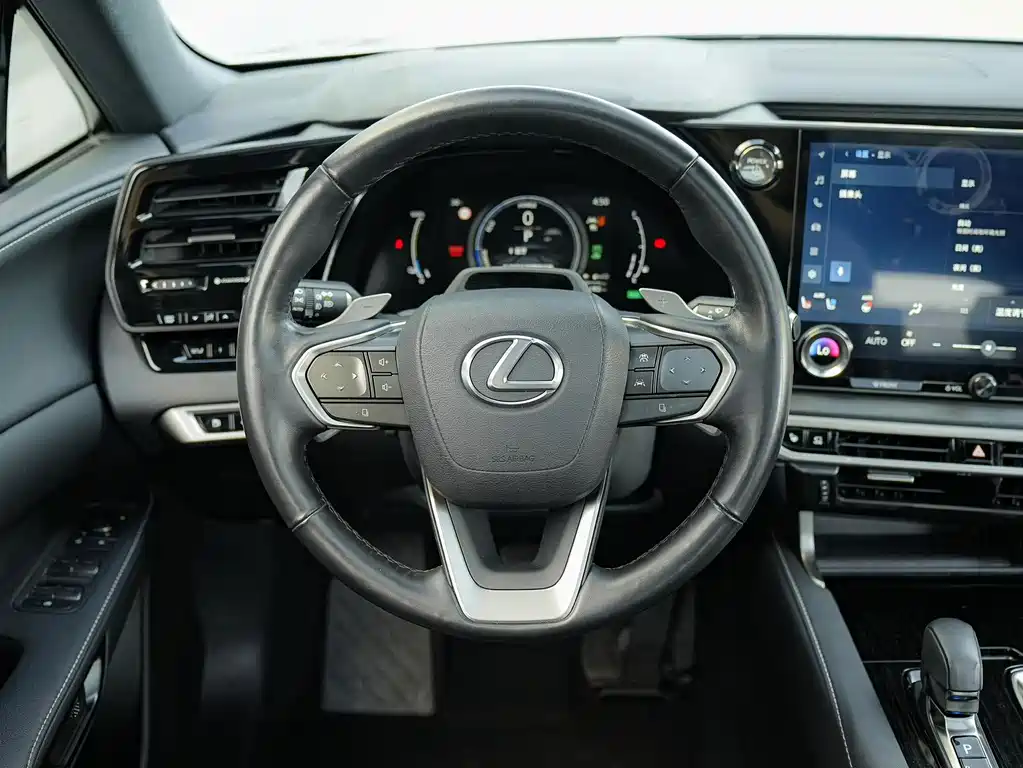 Lexus RX New Energy — миниатюра 21