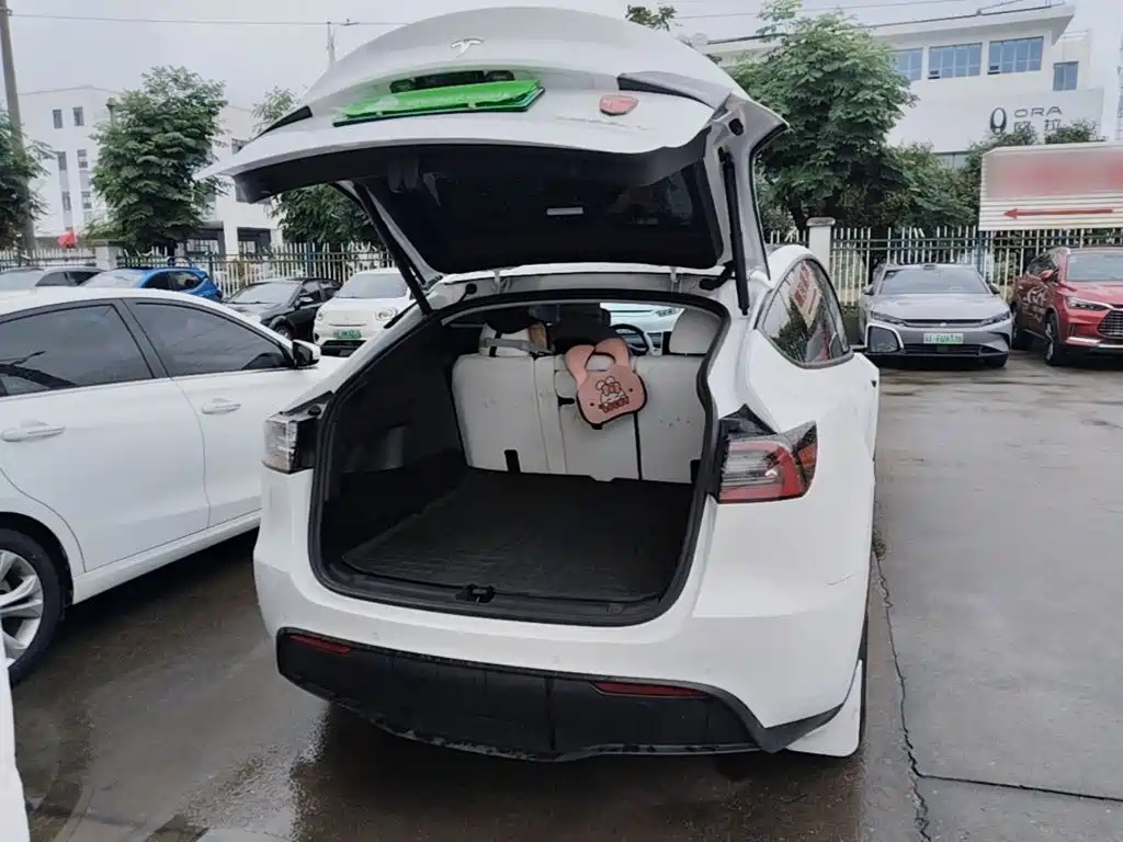 Tesla Model Y — миниатюра 19