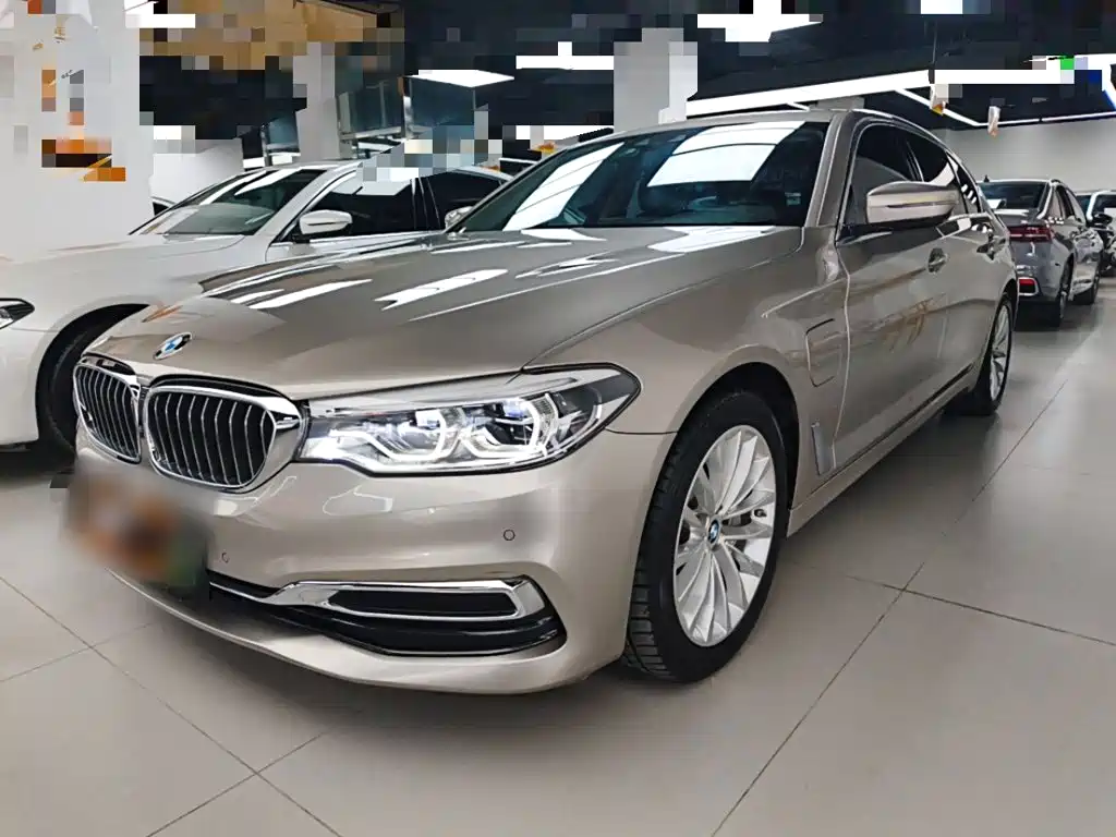 BMW 5 Series 5 2020 530Le Luxury