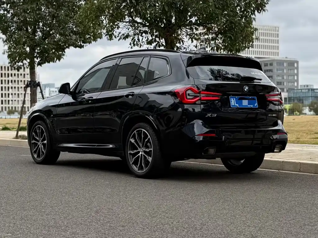 BMW X3 2023 xDrive30i Lead M
