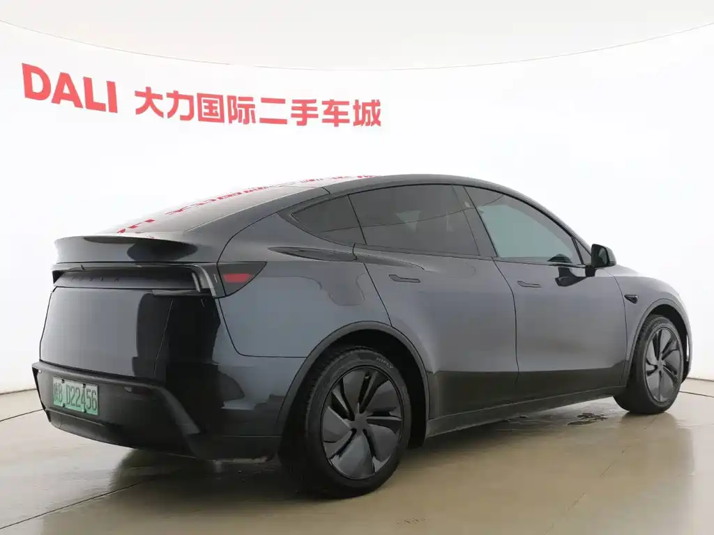 Tesla Model Y — миниатюра 4
