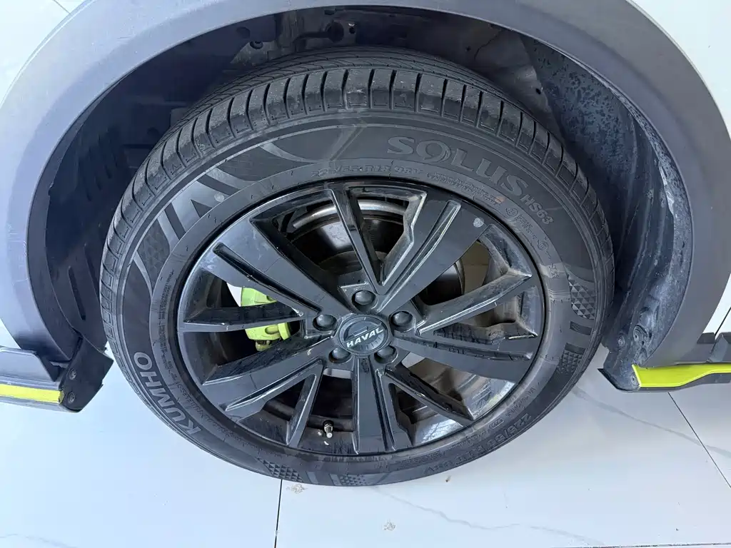 Haval Chitu — миниатюра 23
