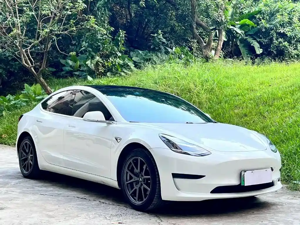Tesla Model 3 — миниатюра 4