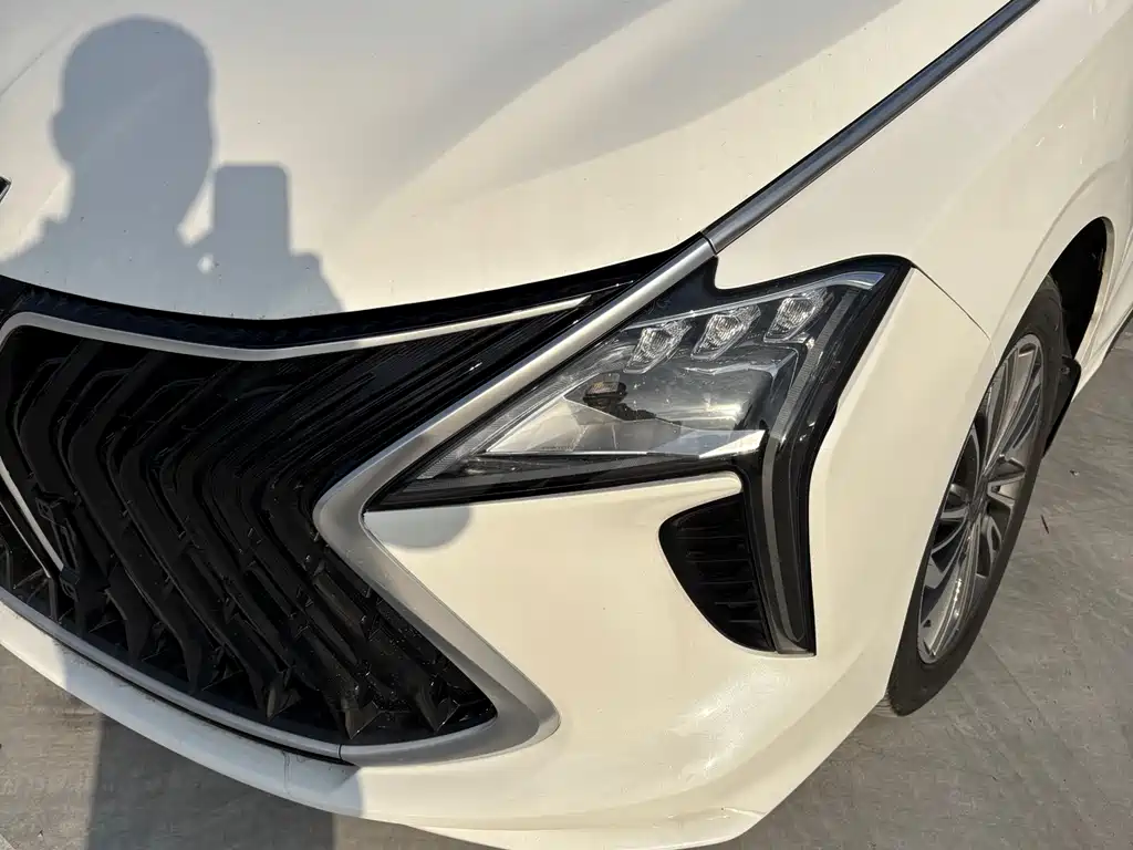 DONGFENG POPULAR YACHTS