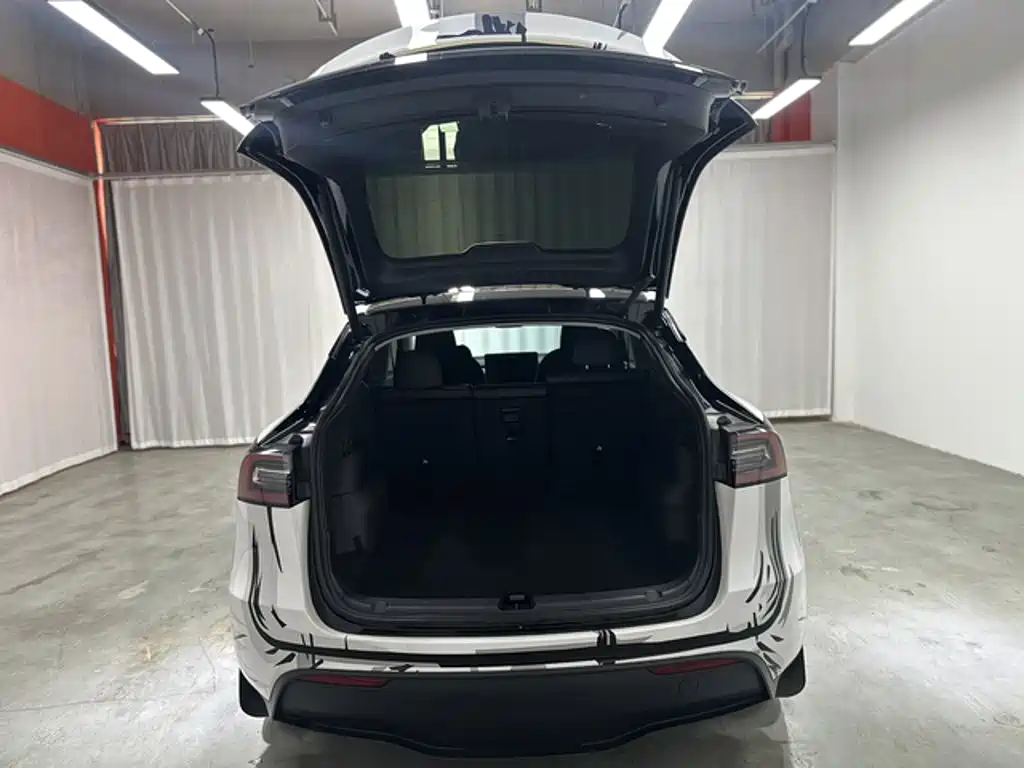 Tesla Model Y — миниатюра 9