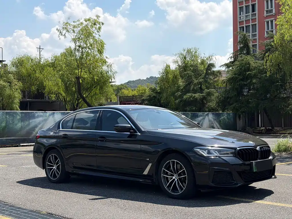 BMW 5 Series New Energy — миниатюра 3