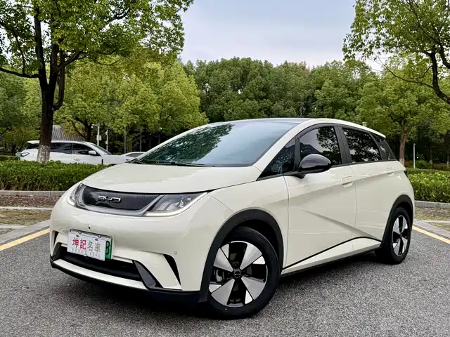 BYD Dolphin