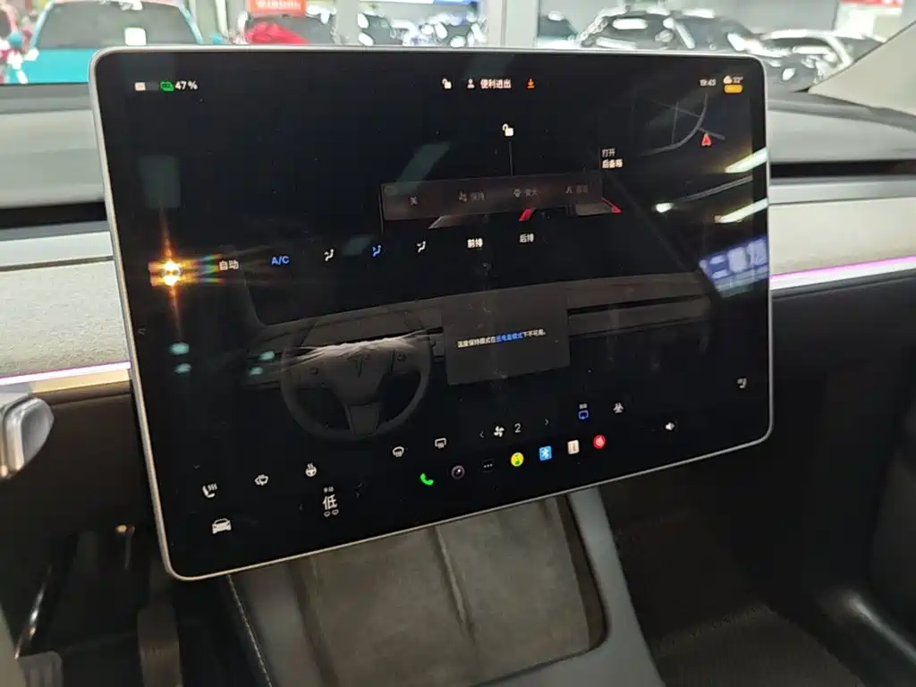 Tesla Model Y — миниатюра 13