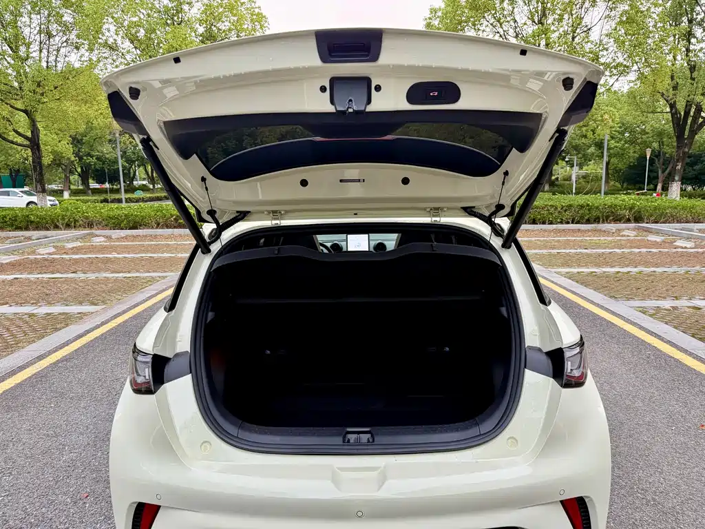 BYD Dolphin — миниатюра 16