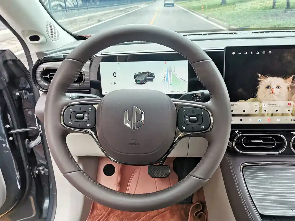 Leapmotor Leapmotor C11 — миниатюра 13