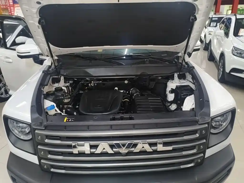 Haval Menglong New Energy — миниатюра 20