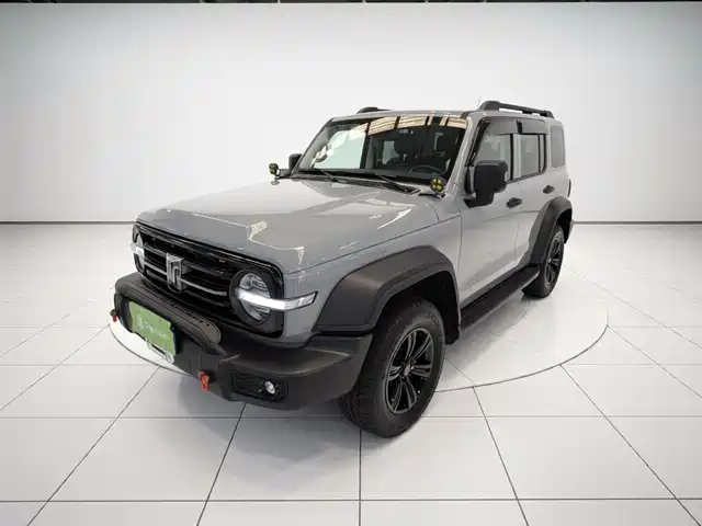 2022 TANK 300