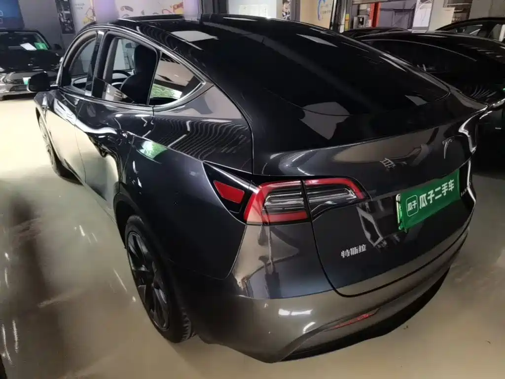 Tesla Model Y — миниатюра 5